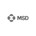 msd Stramasa brand agency