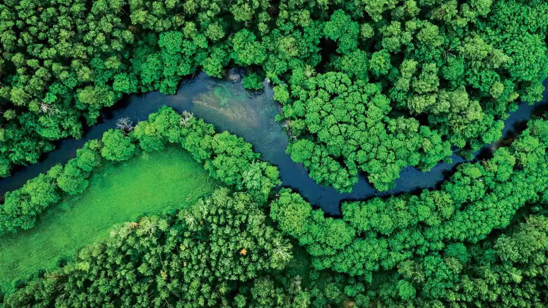 axpira-sustainability-commitment